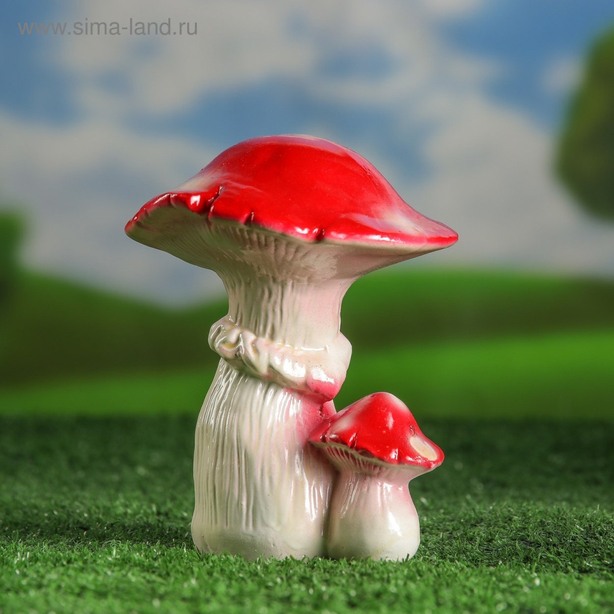 Мутинус Равенеля и Мутинус собачий