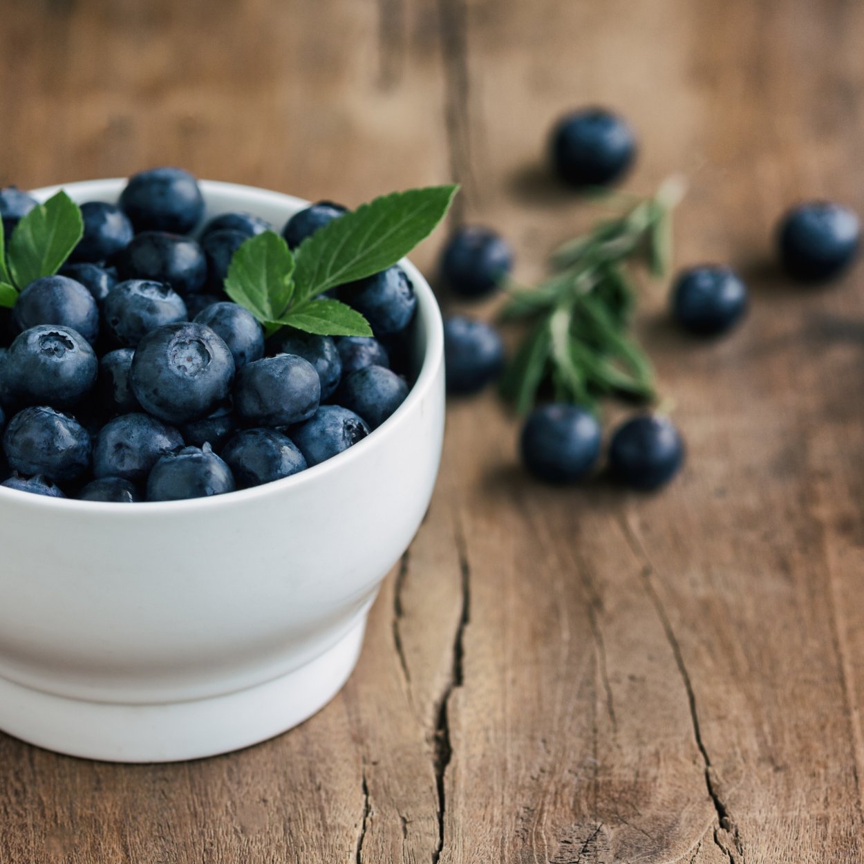 Ягоды черники и голубики