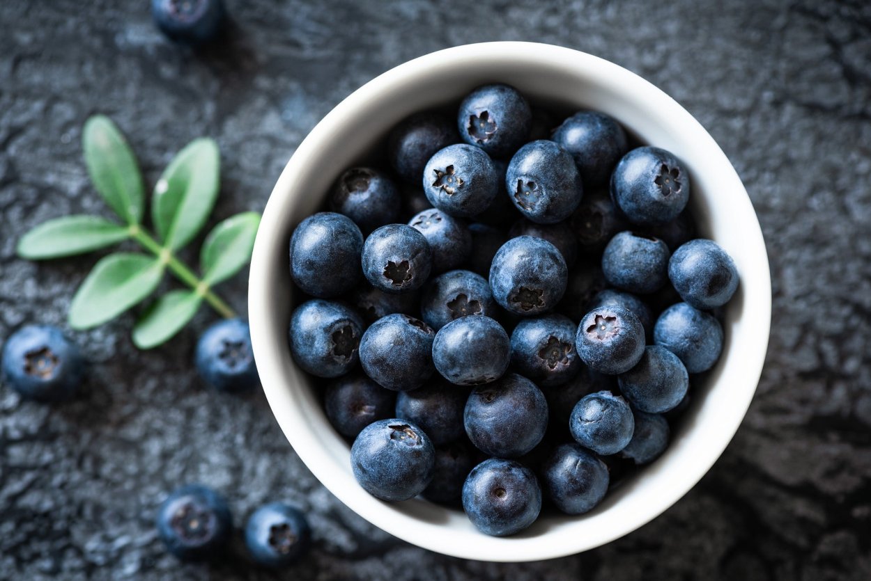 Черника дерево