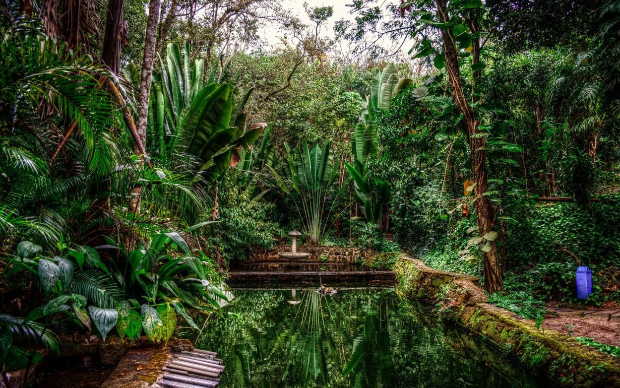 Национальный парк Бразилии Амазония