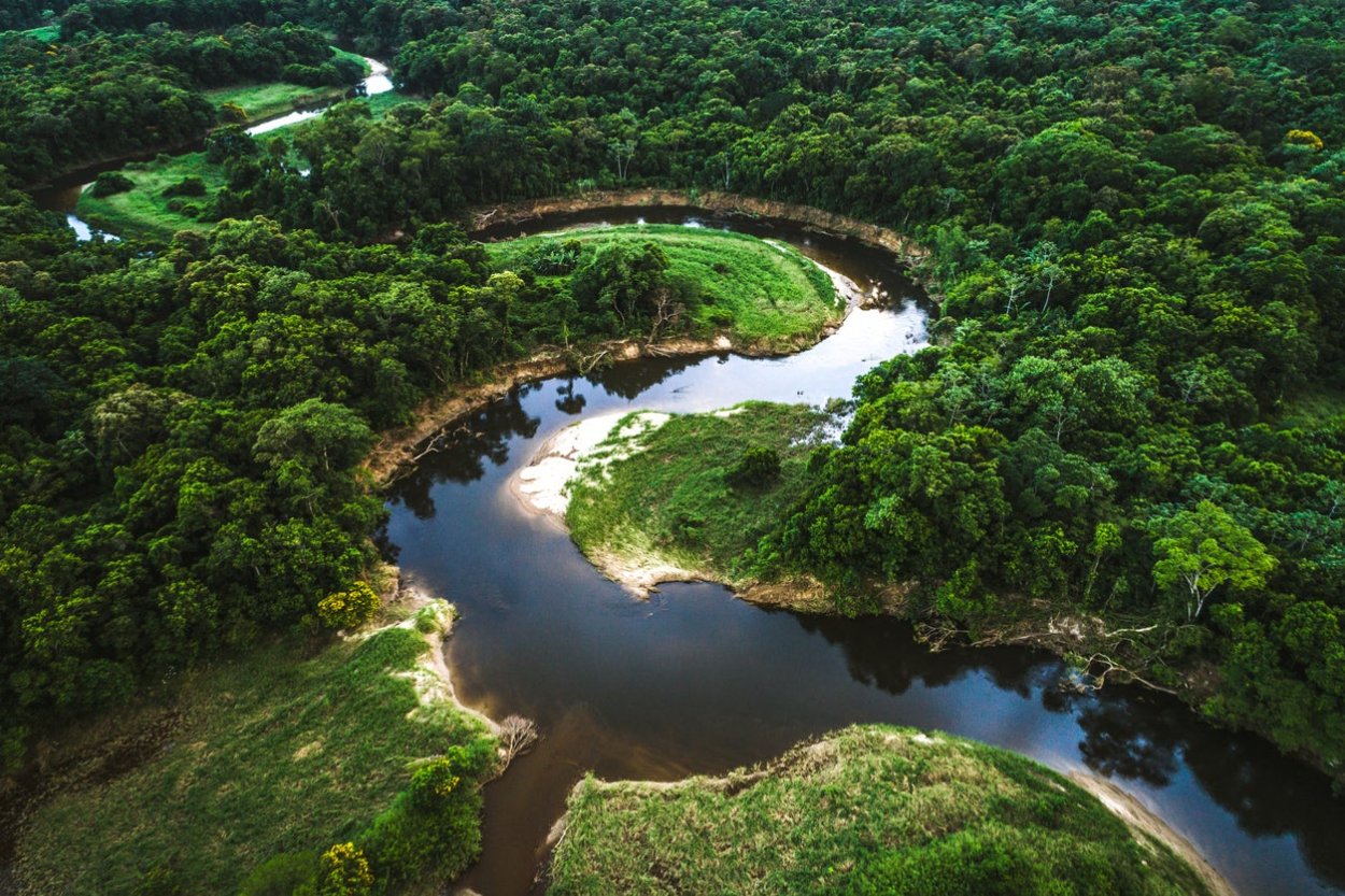 Тропические леса амазонии