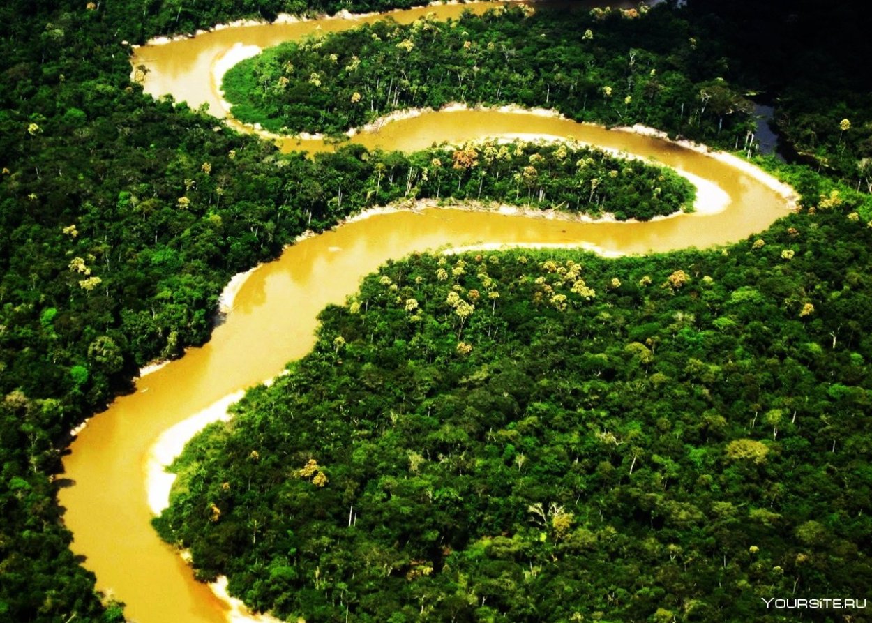 Джунгли амазонки