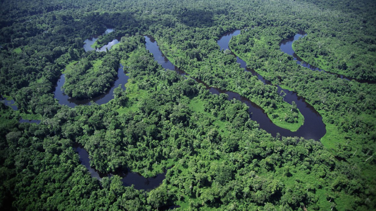 Коста-Рика тропический лес