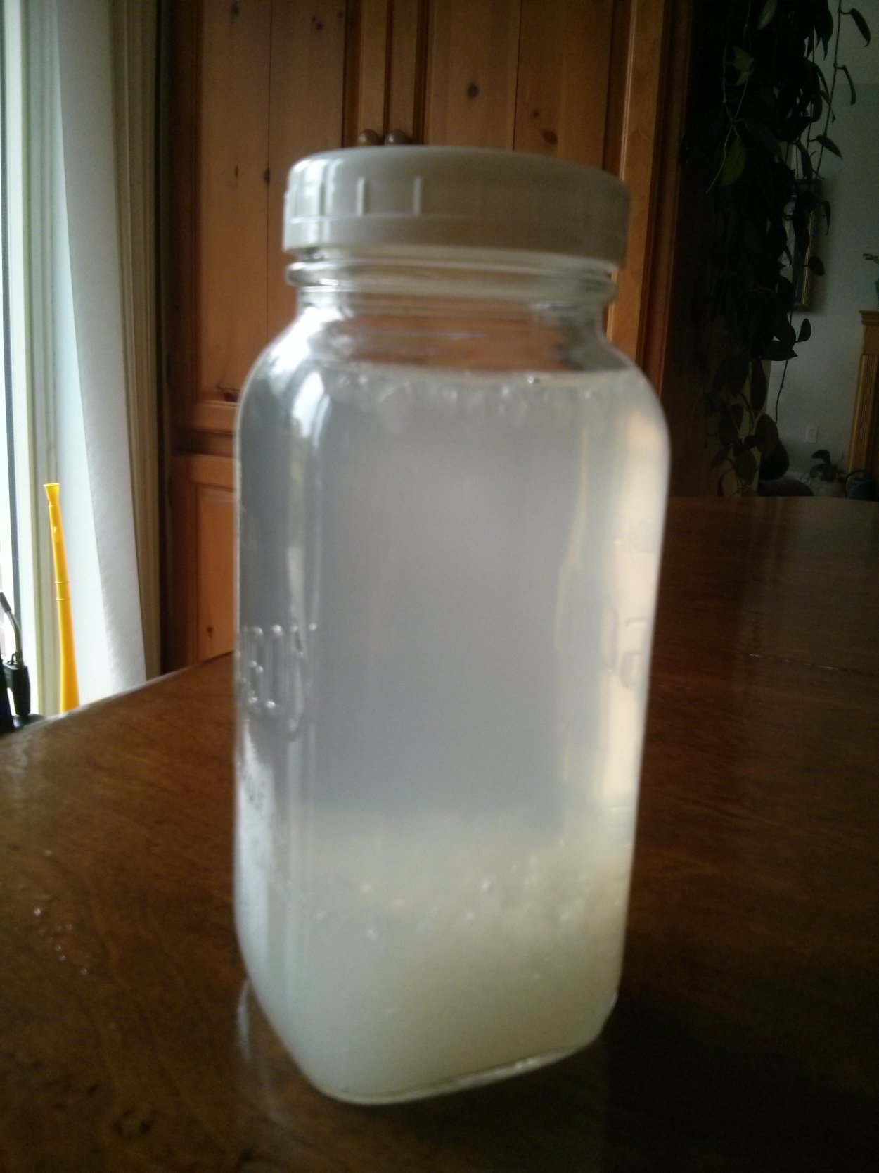 Water kefir