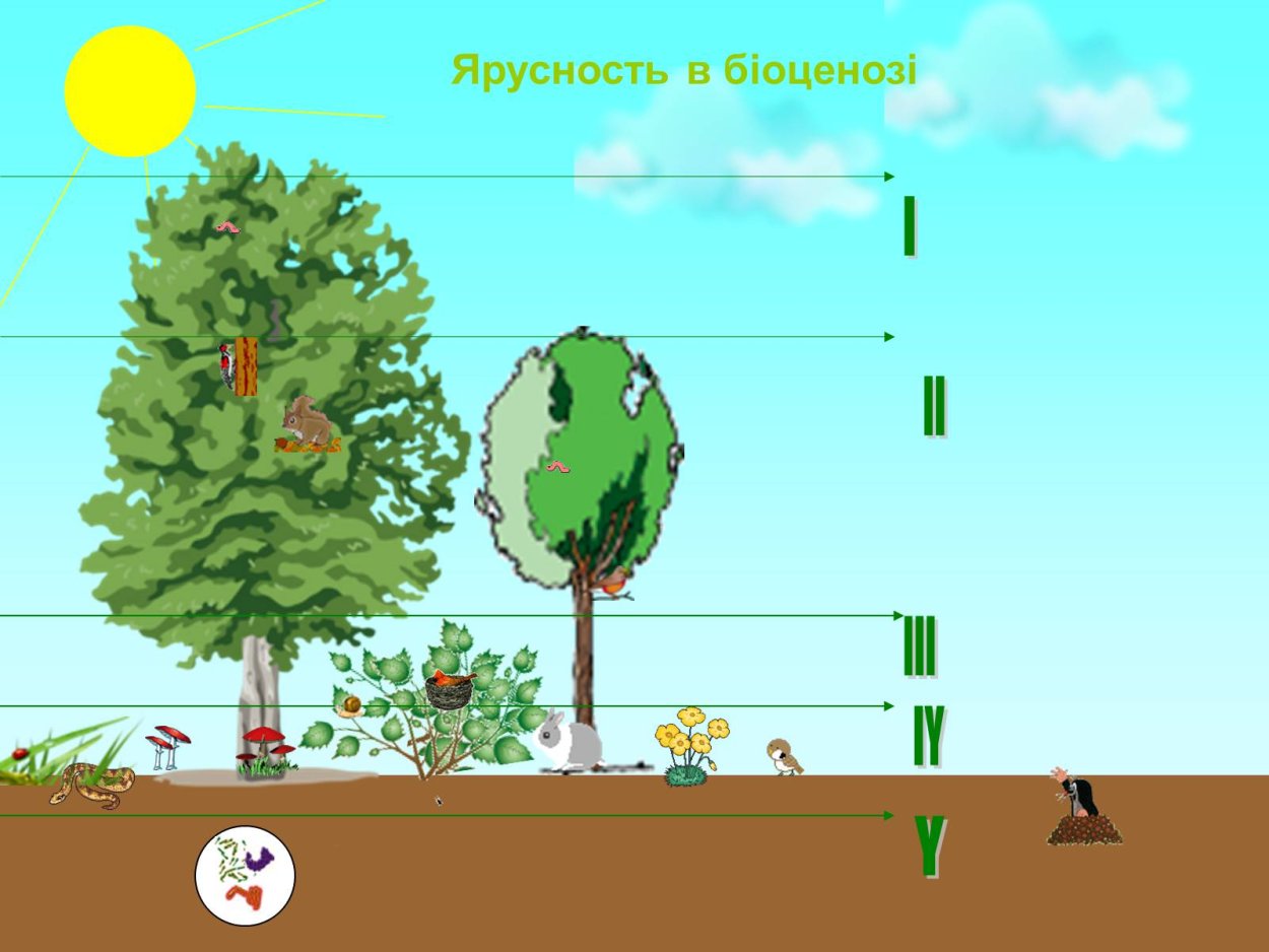 Увидеть лес за деревьями / Хабр