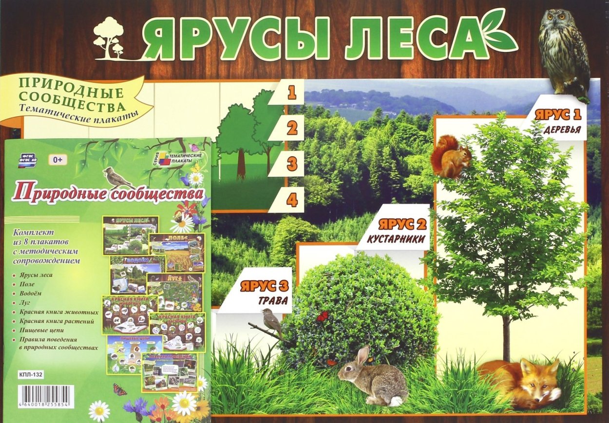 Елово Сосновый лес