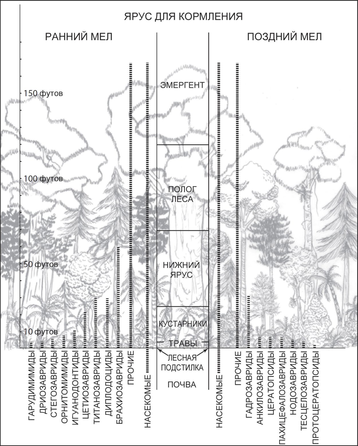 Лес лес Лесной Лесной