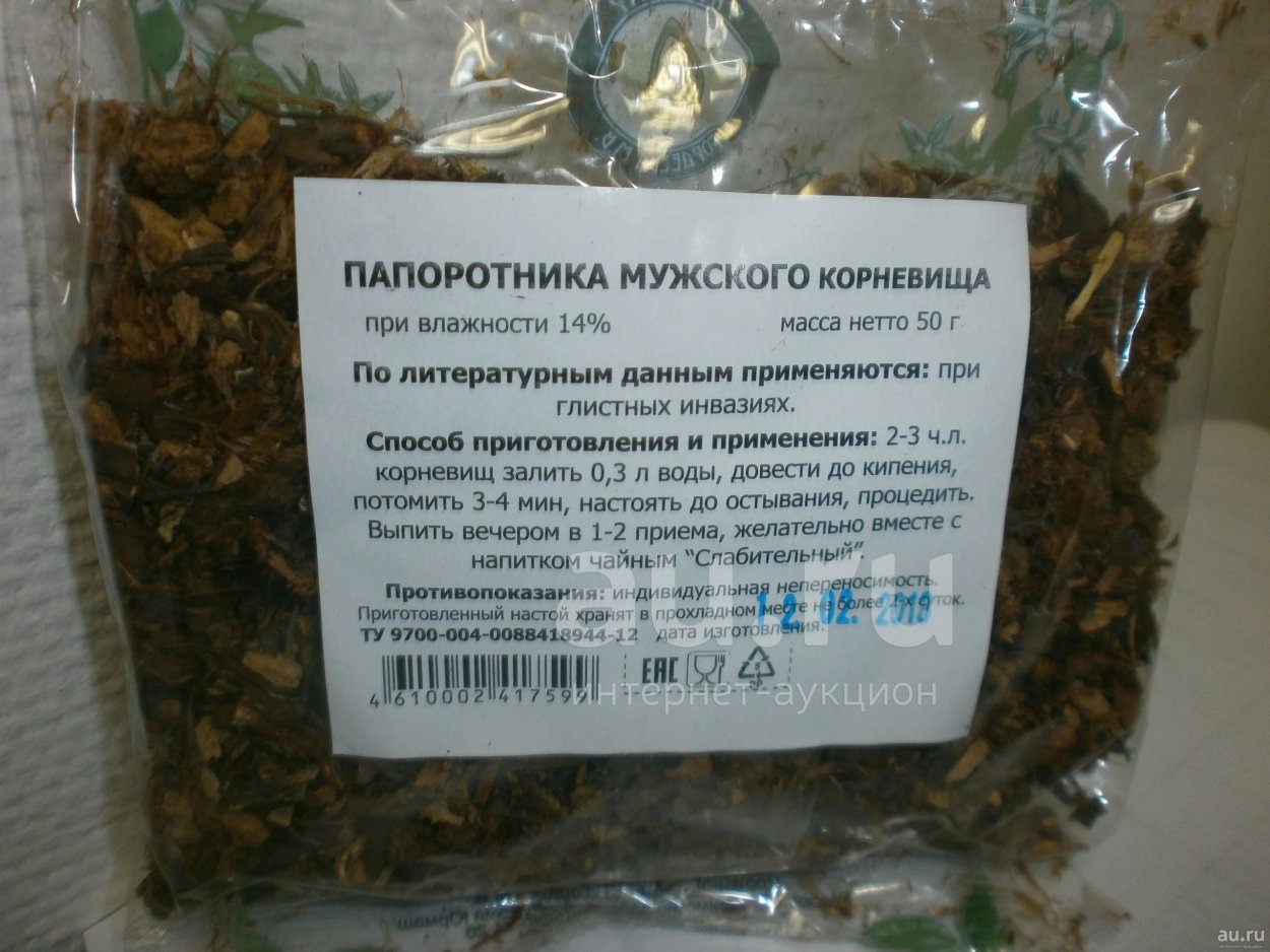 Лист папоротника