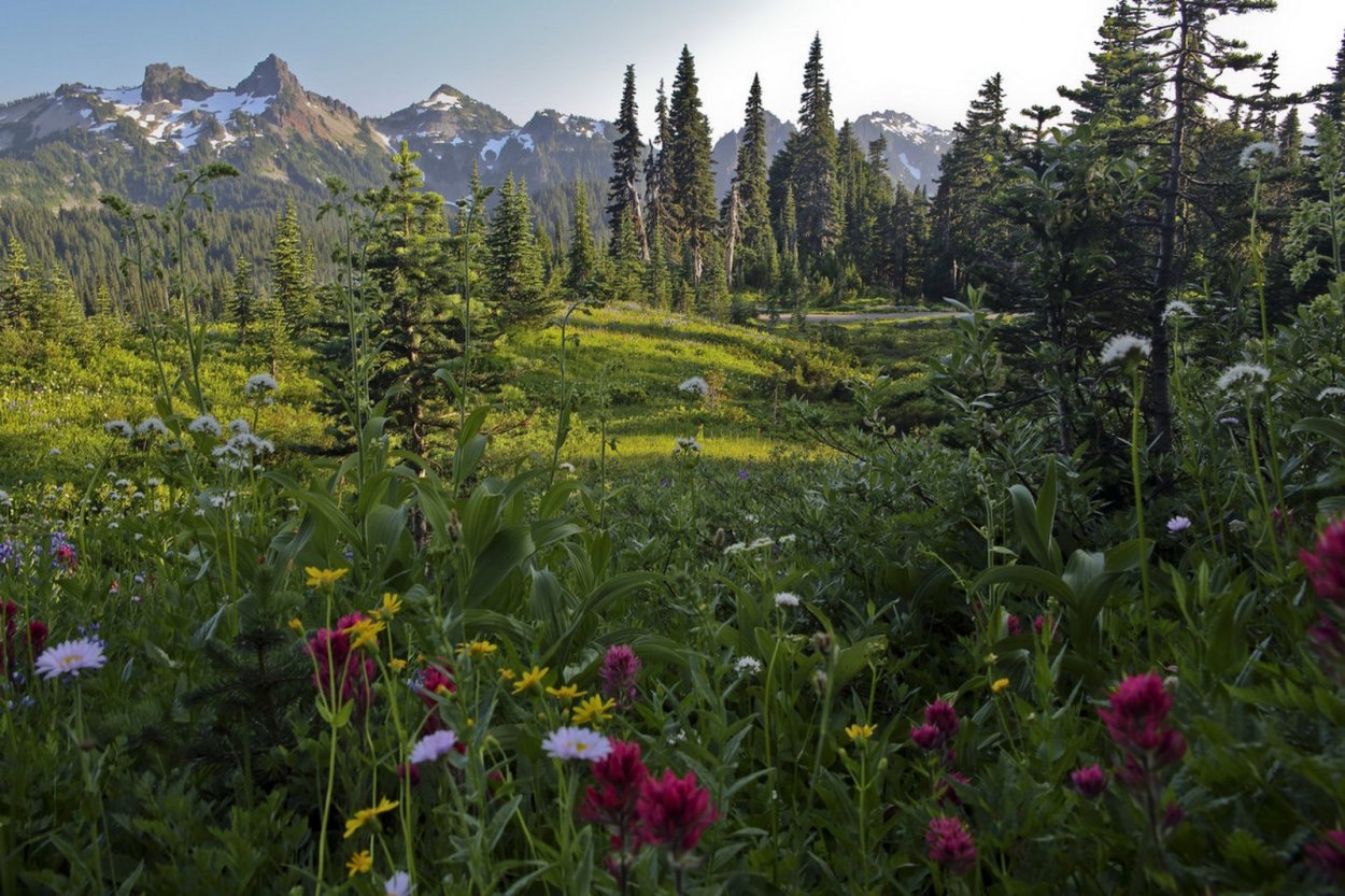Альпийские Луга Урал