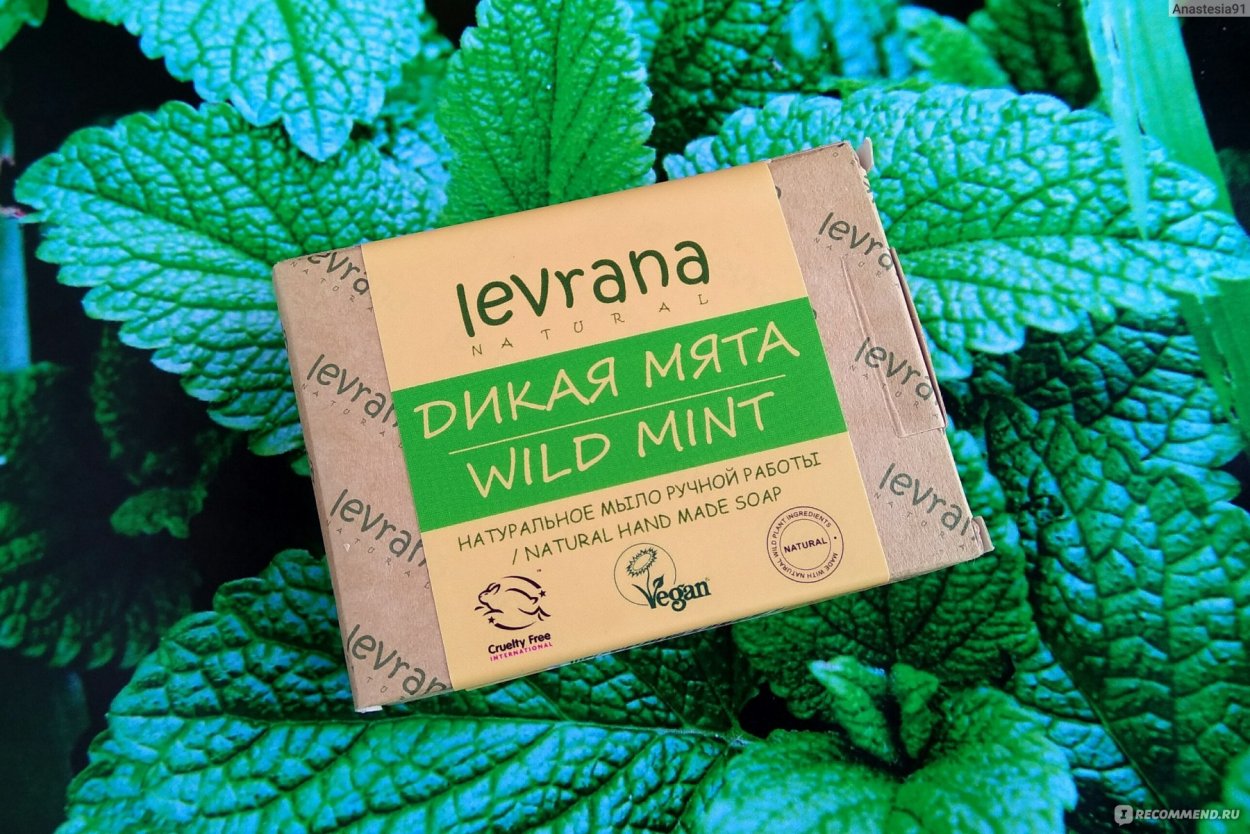 Дикая мята палаточный городок