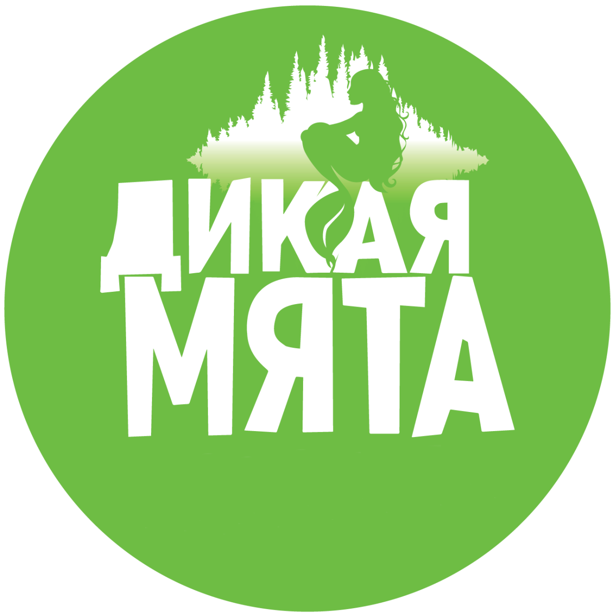 Дикая мята 2019 расписание