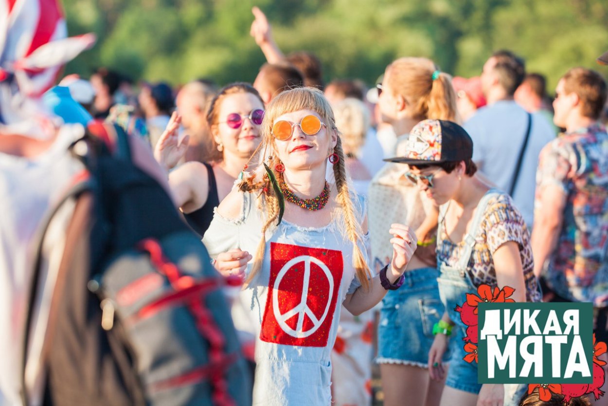 Фестиваль мята в Тульской области