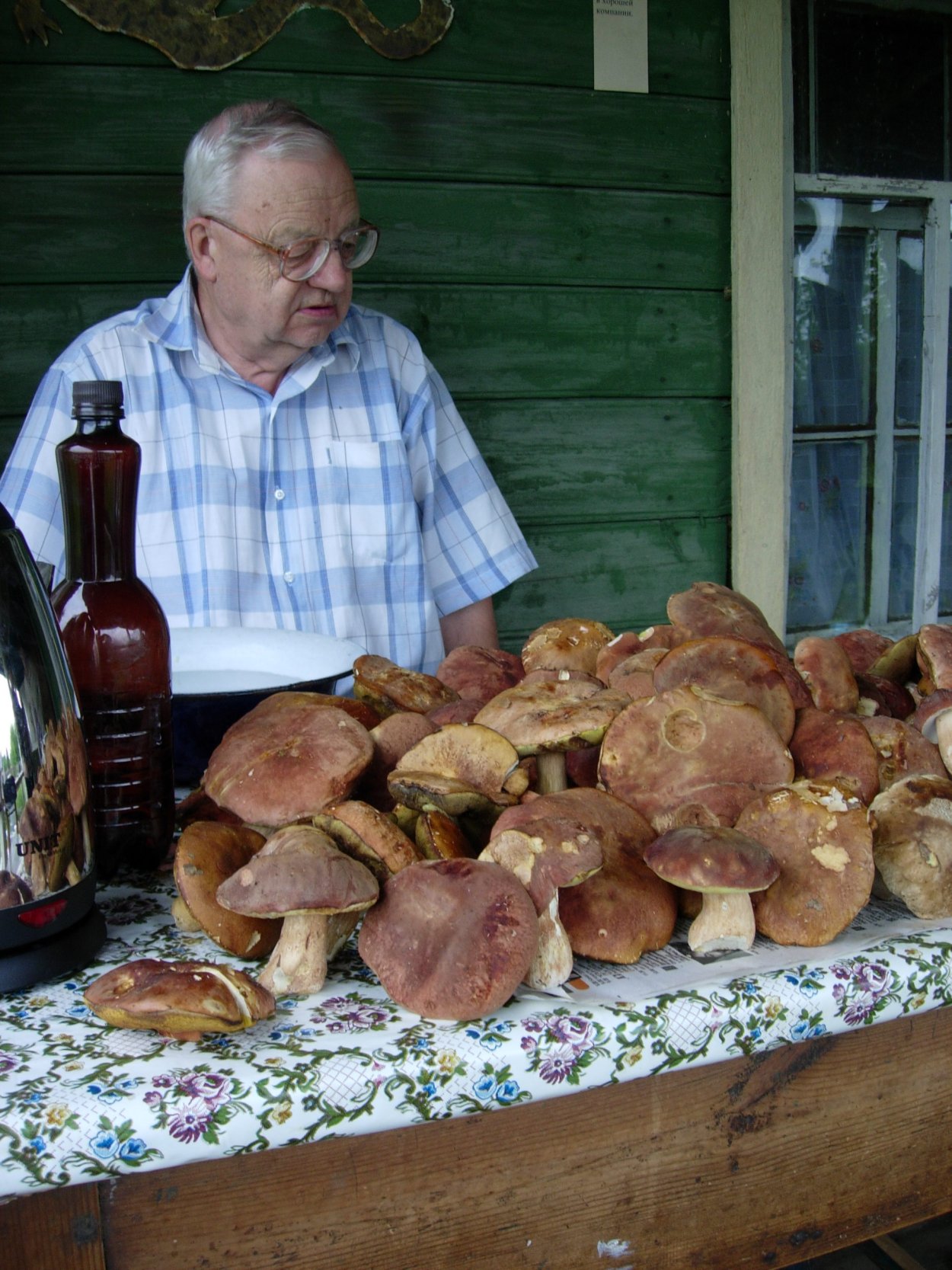 Гриб Липовик Приморский край