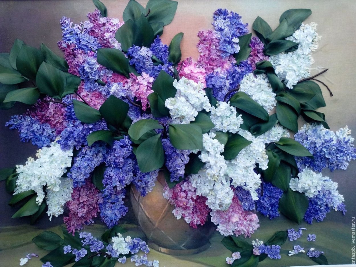 Сирень Вильгельм Пфитцер