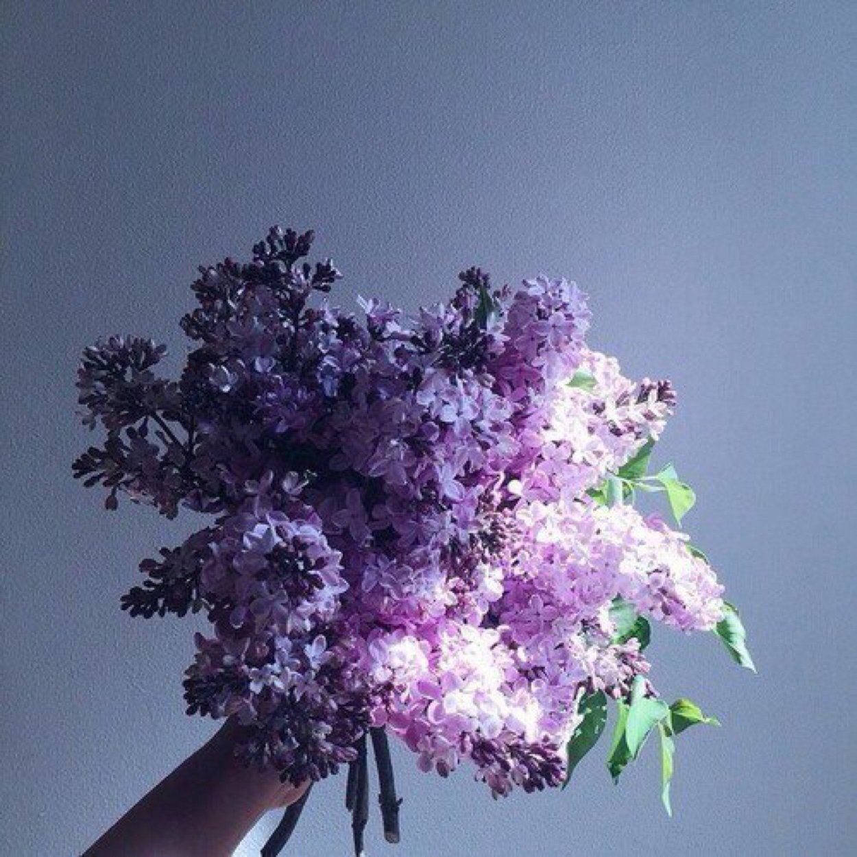 Букет "сирень микс"