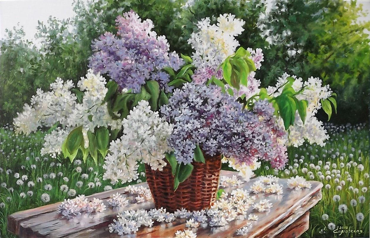 Флетлей сирень