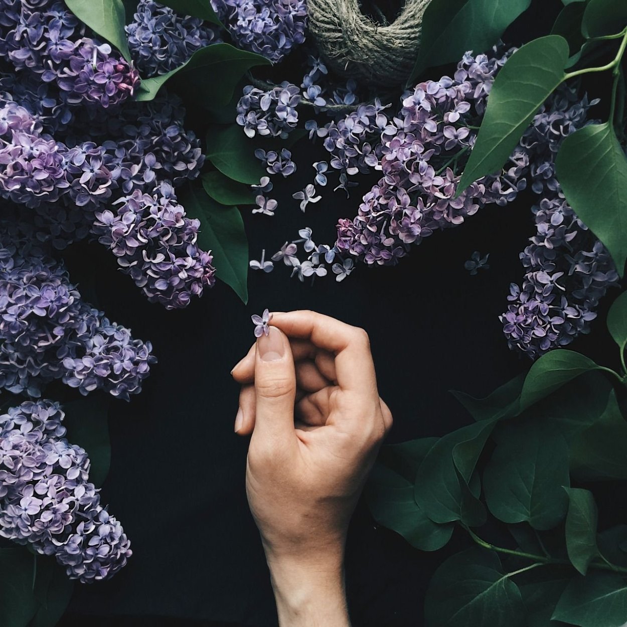 Огромный букет сирени