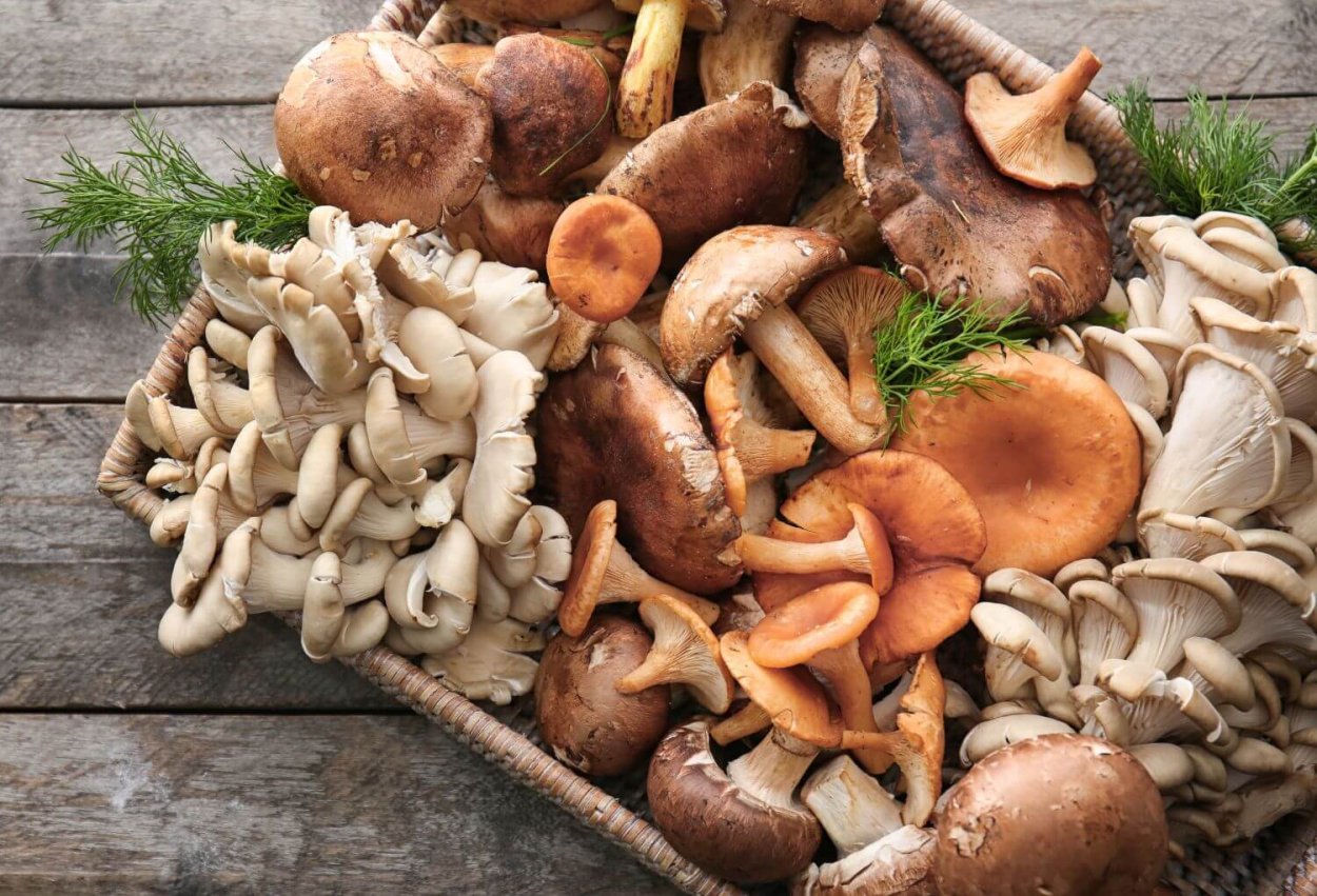 Грибы Графика