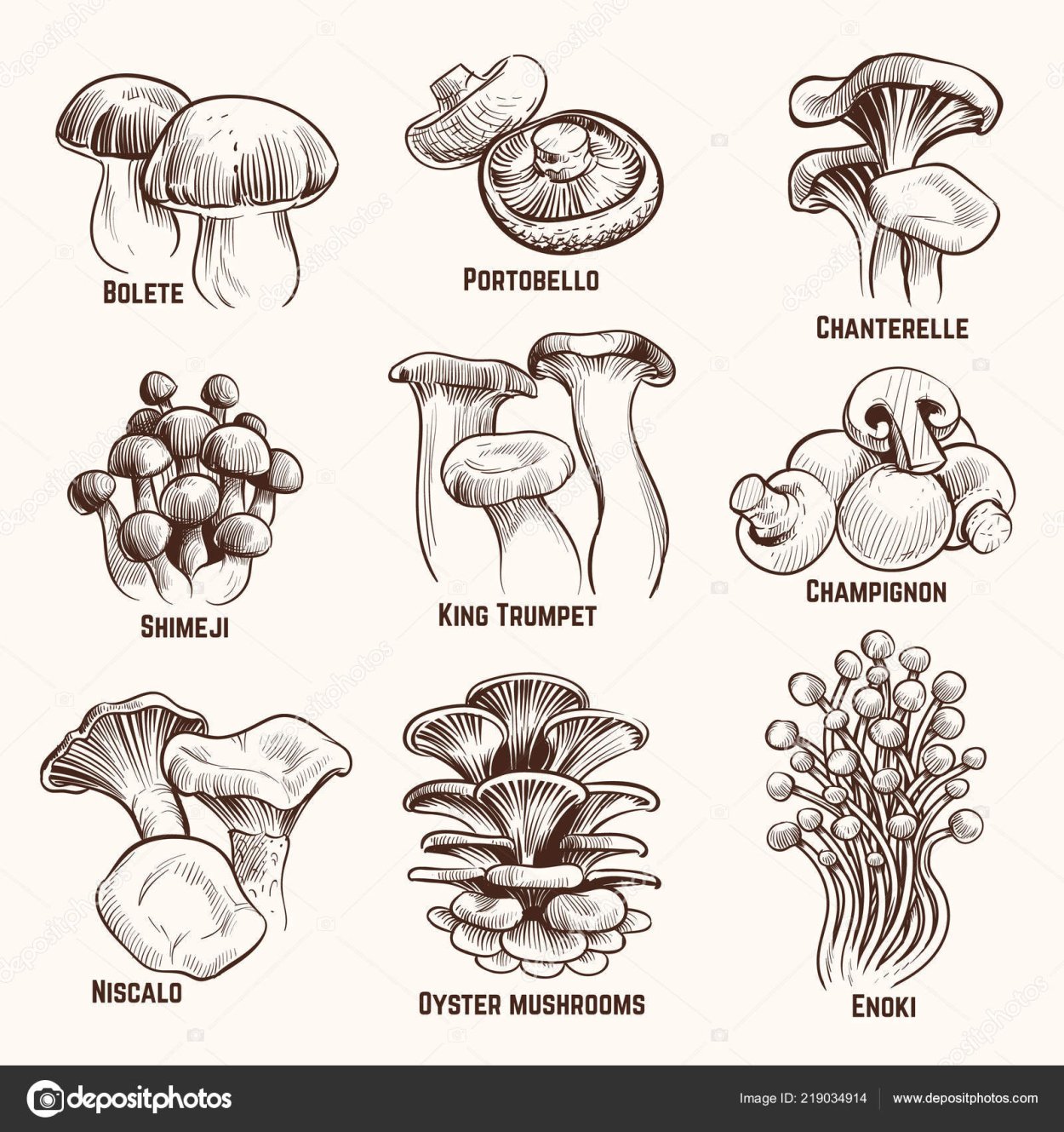 Съедобный гриб мультяшный