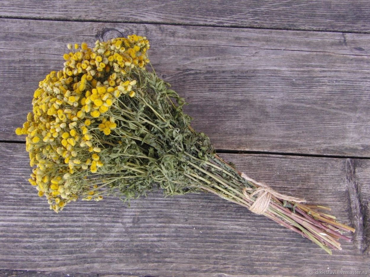 Подмаренник настоящий чай