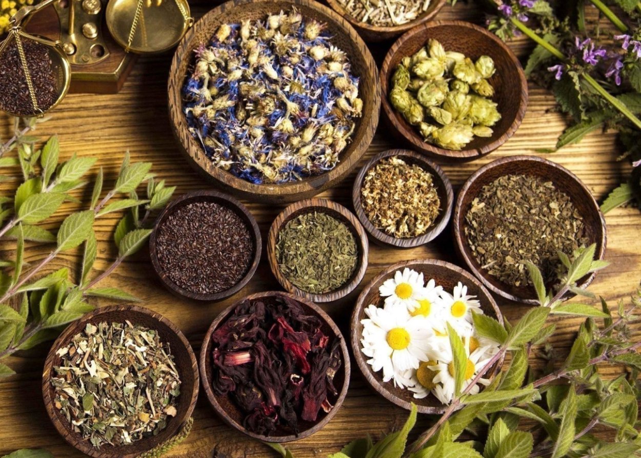 Лекарственные травы