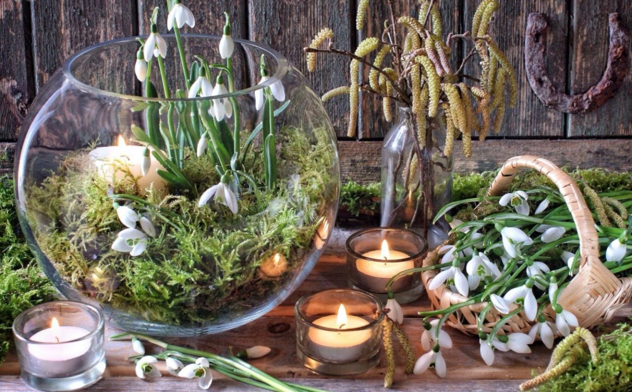 Цветы которые отпугивают насекомых