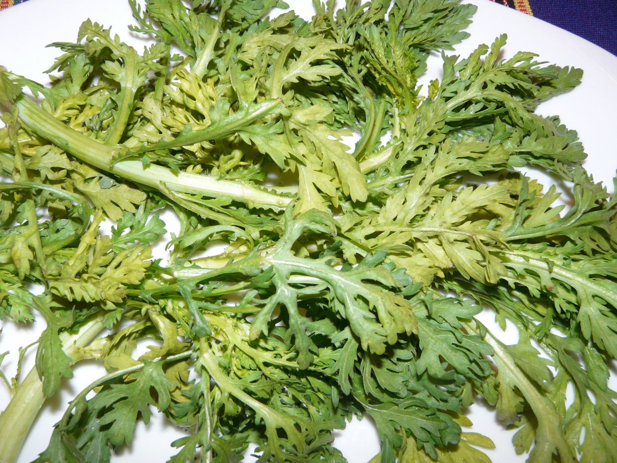 Шушан трава