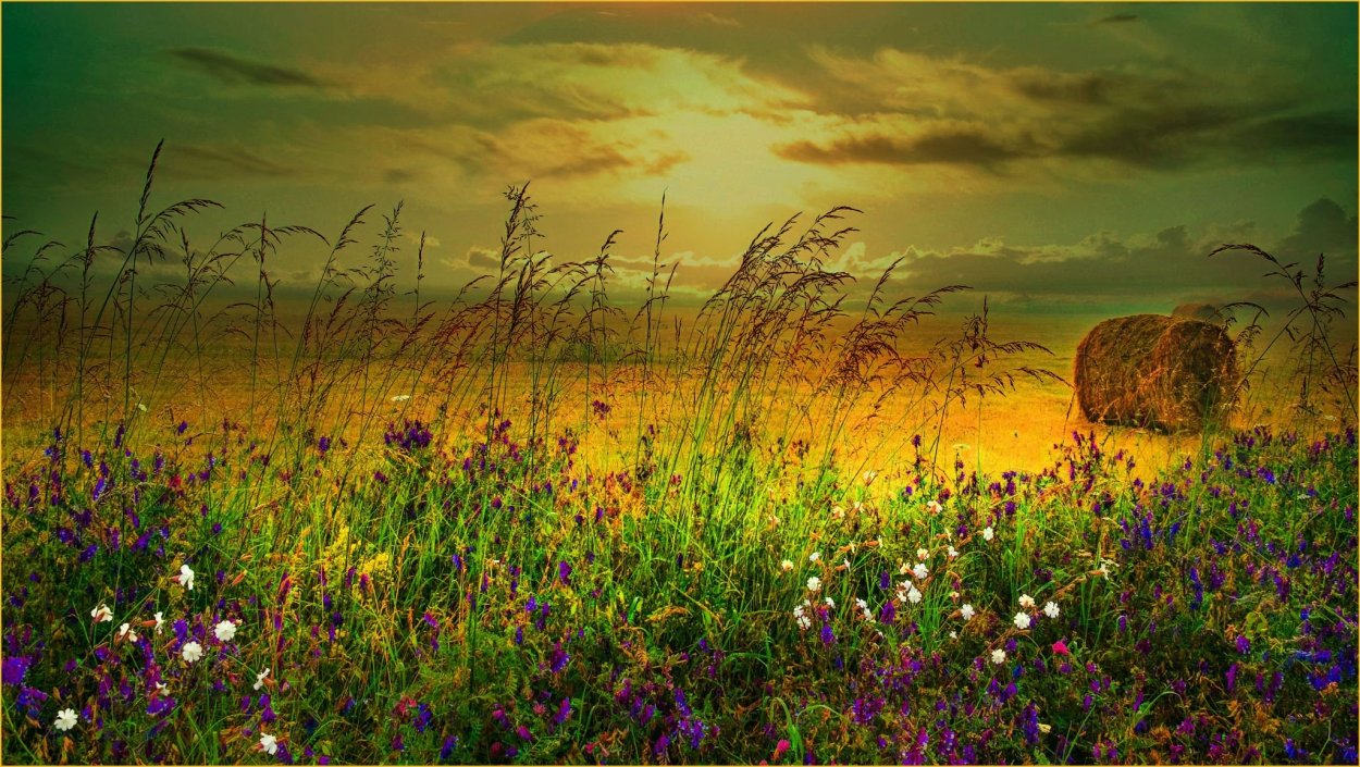 Зеленая трава