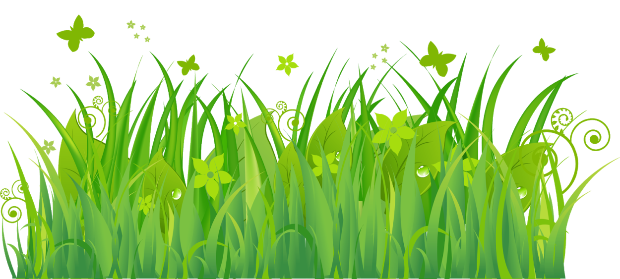 Лекарственные растения