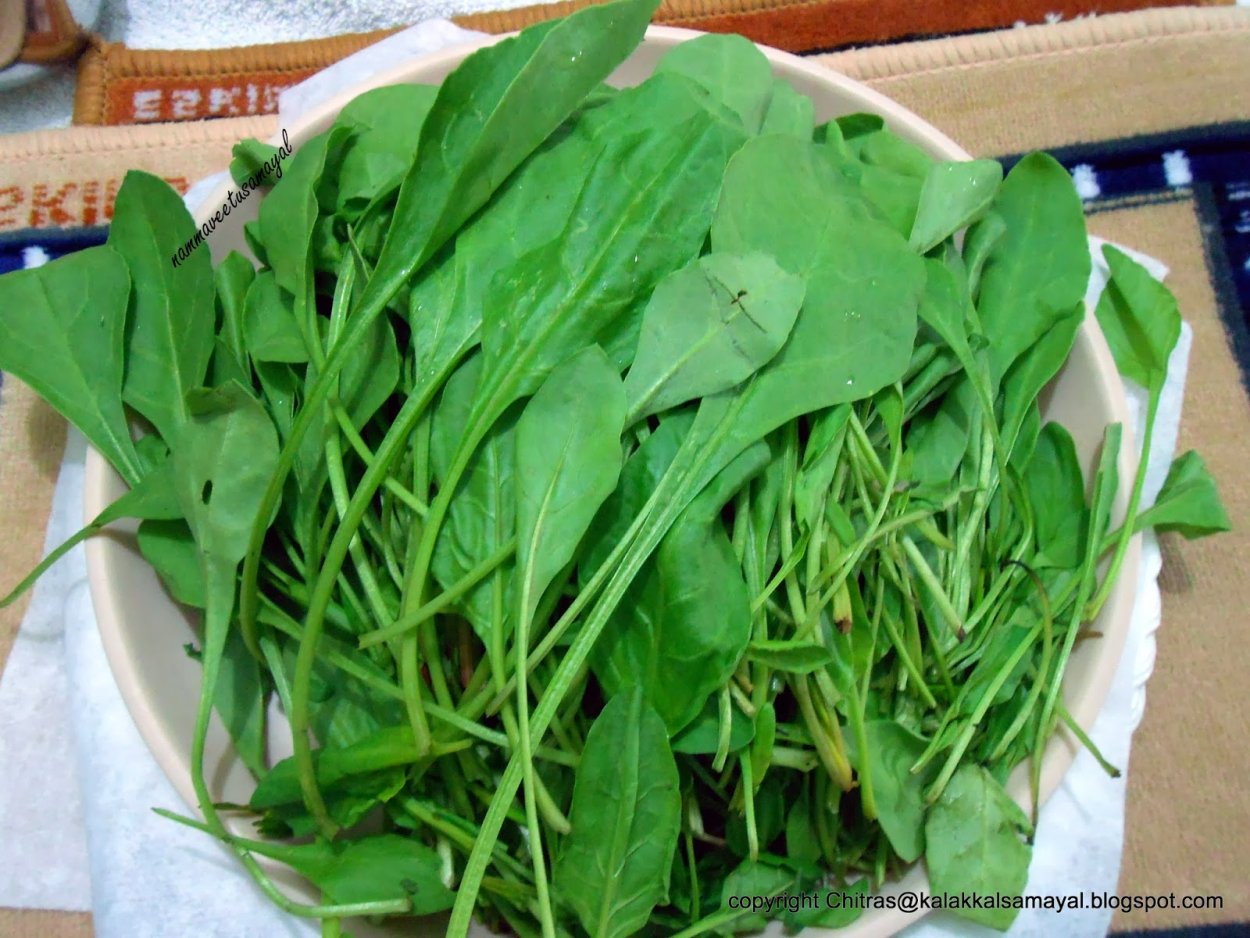 Цицматы Грузинская трава