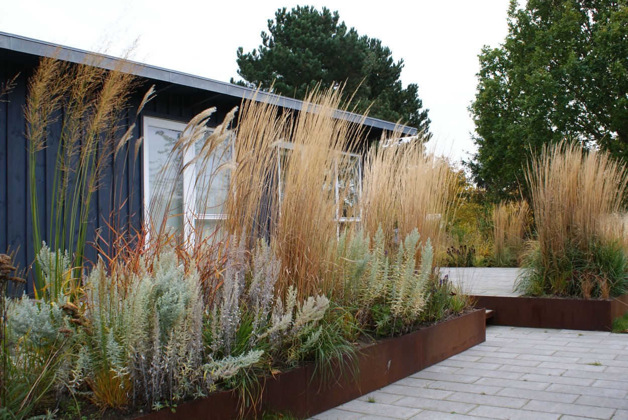 Декоративная трава на террасе