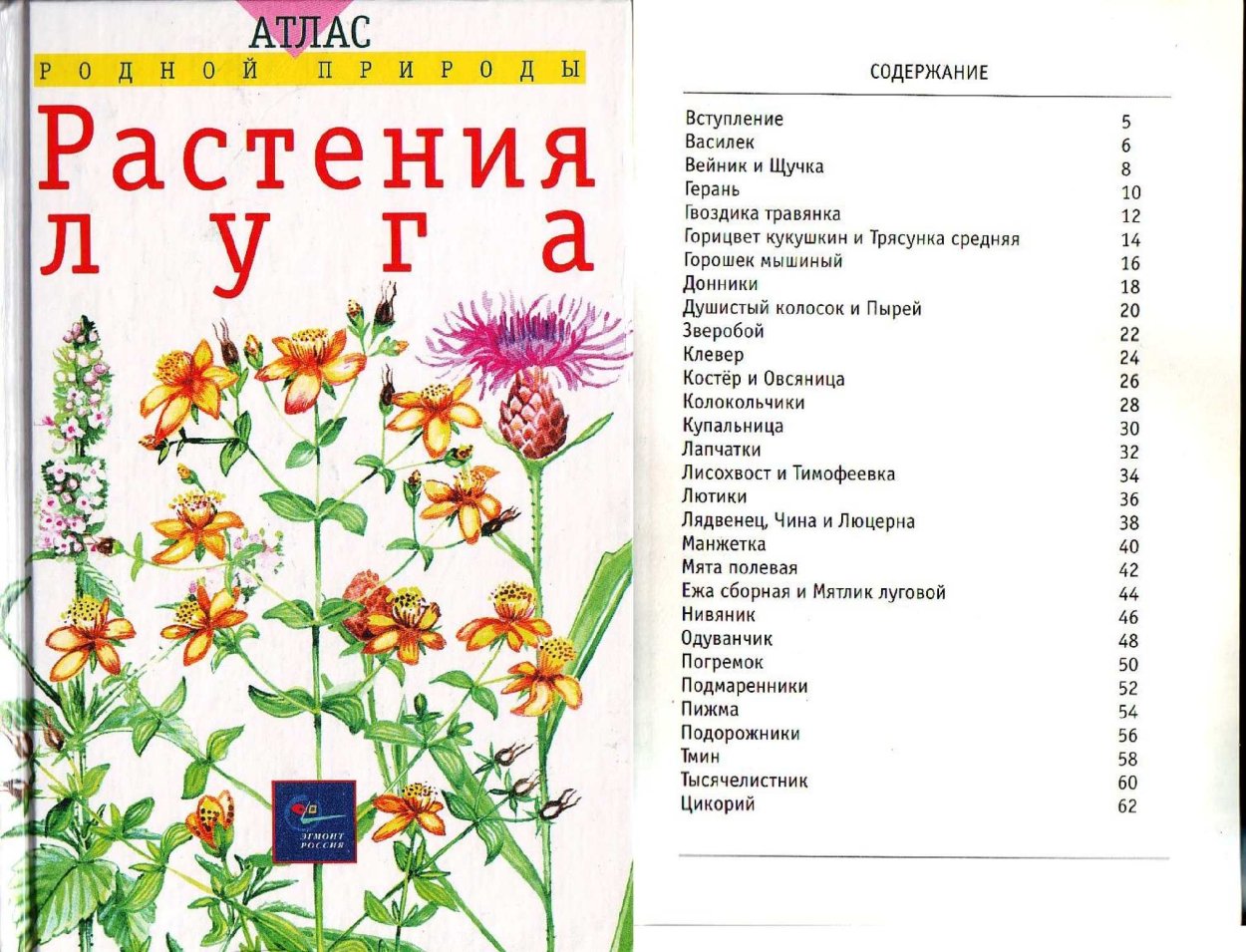 Атлас растений Луга