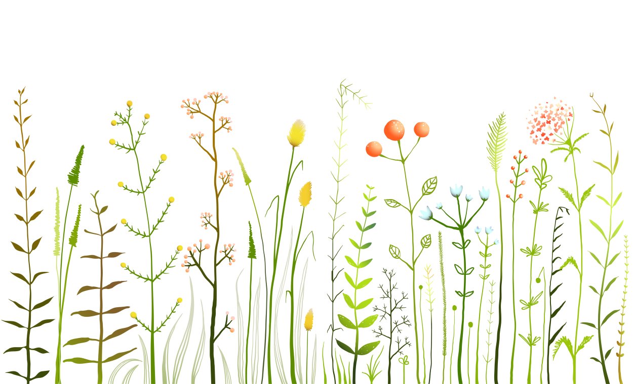 Луговые травы Графика