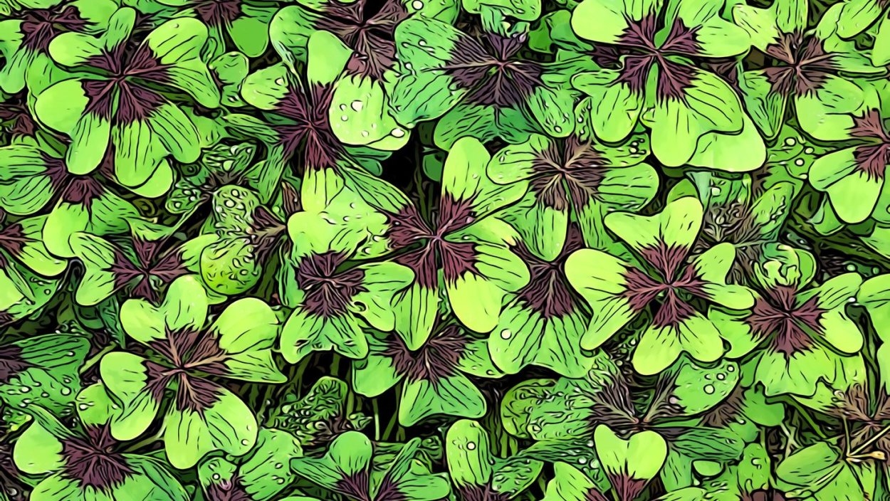 Клевер с четырьмя лепестками