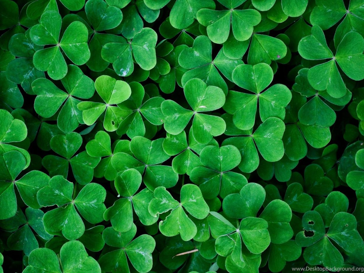 Заставка на рабочий стол зеленая