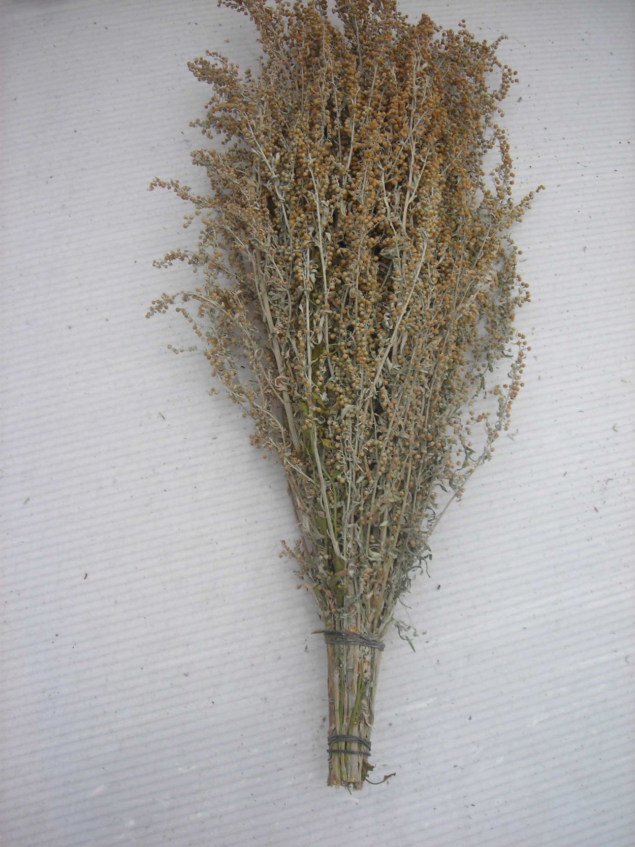 Полынь чернобыльник веник