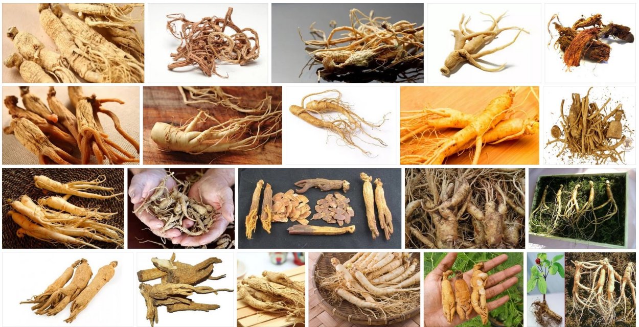 Лечебный корень