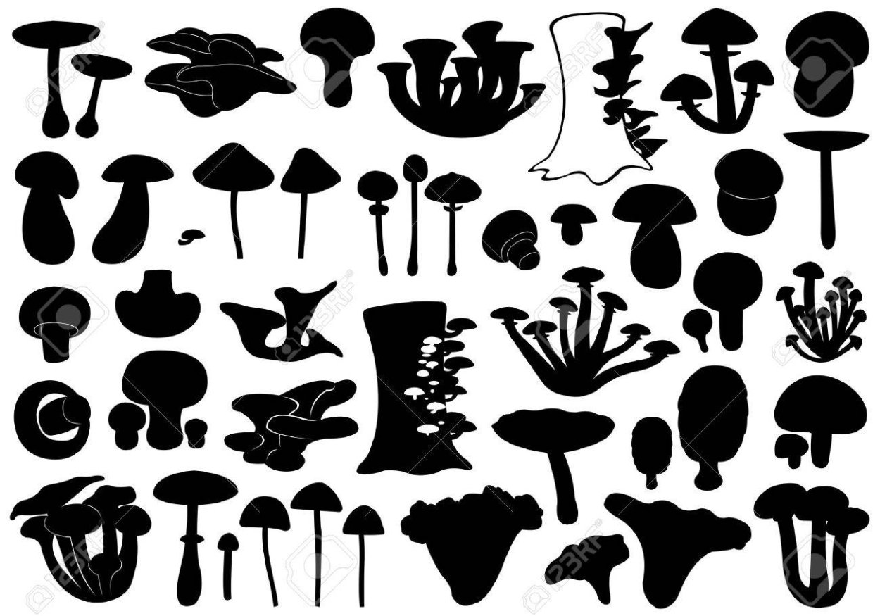 Гриб силуэт