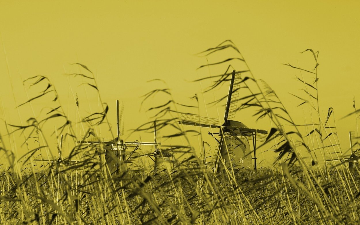 Мельница на кукурузном поле