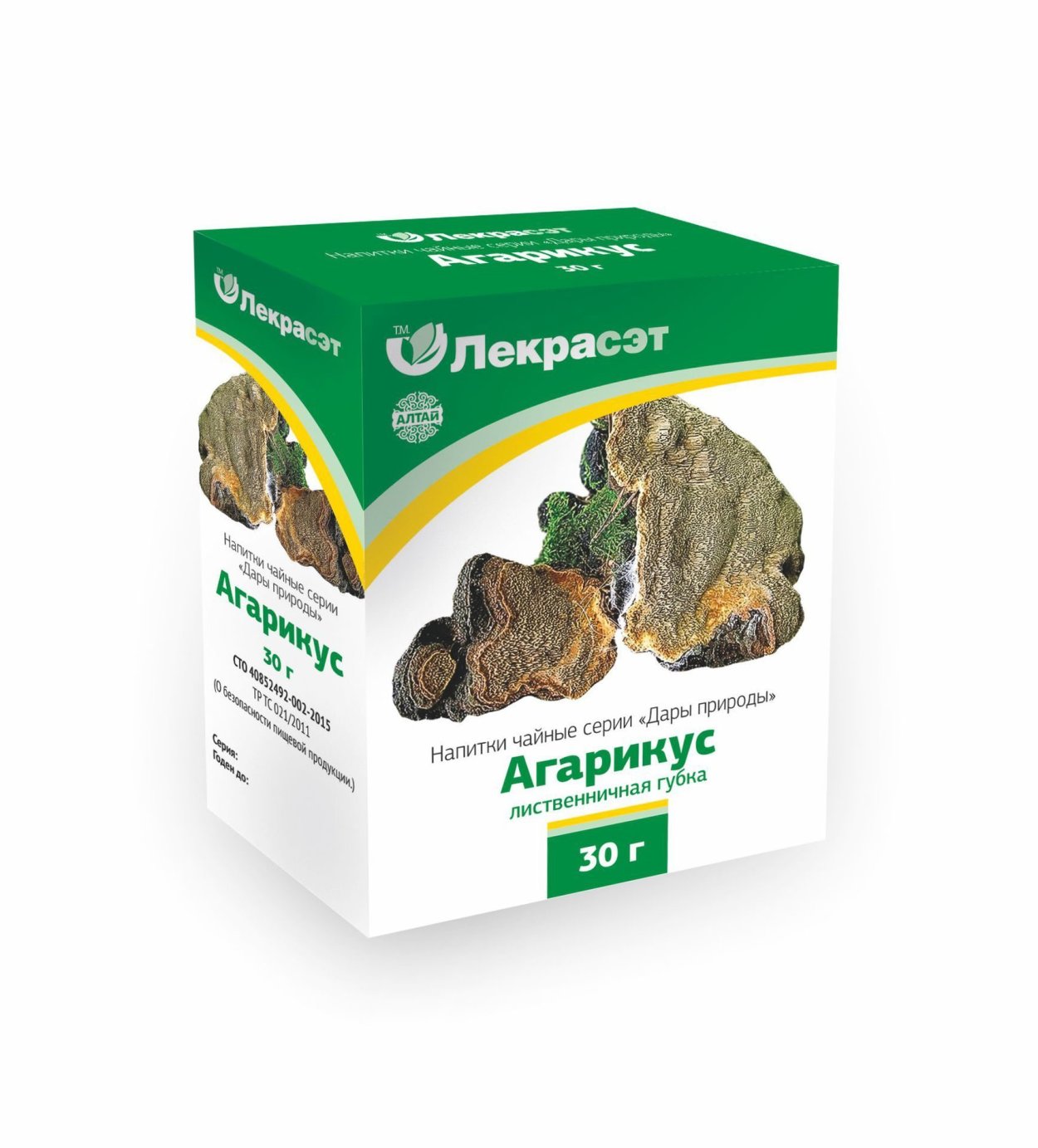 Гриб трутовик лиственничный