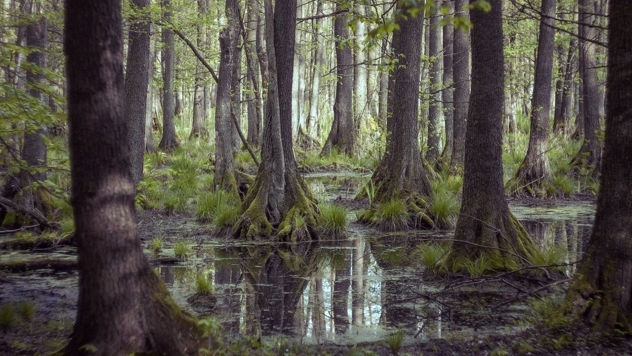 Болото Манчак призраки