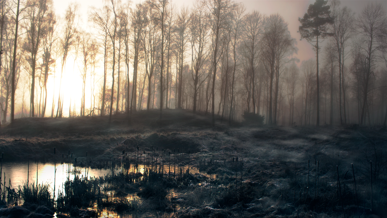 Темное болото