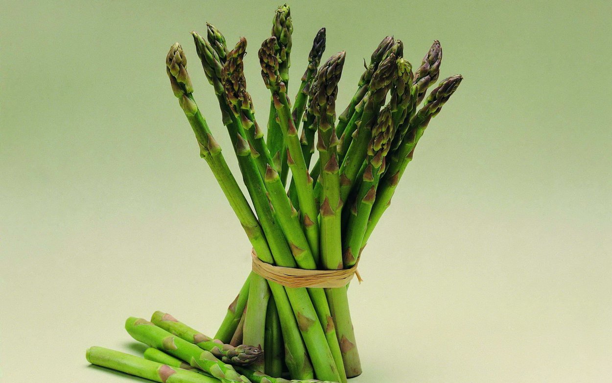 Синдрик армянский