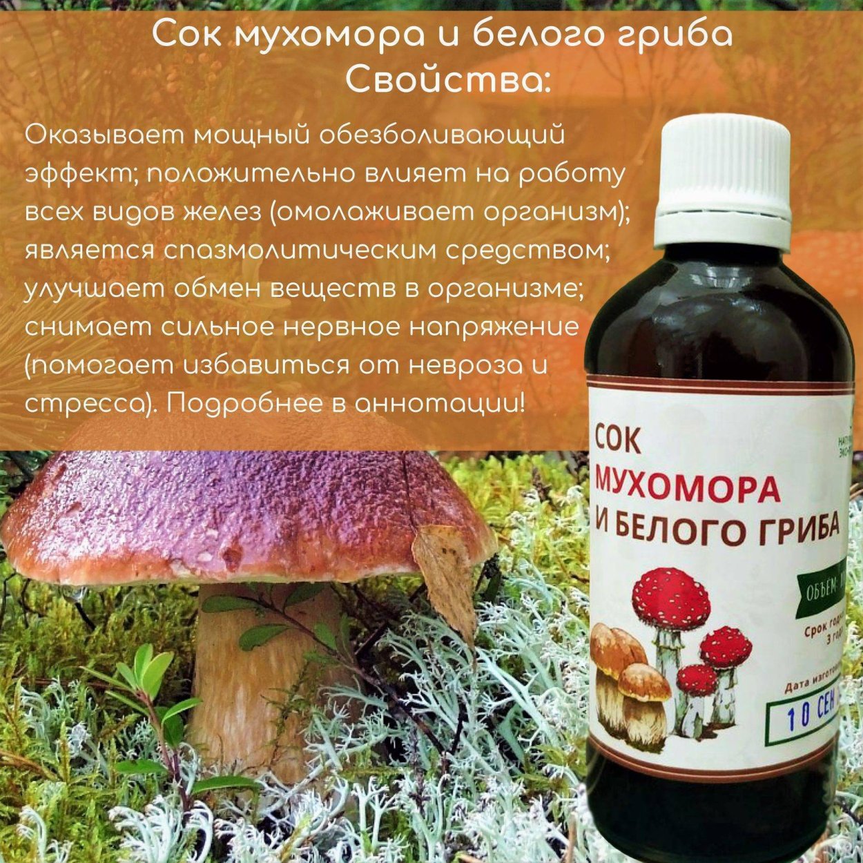 Эстетика леса и грибов