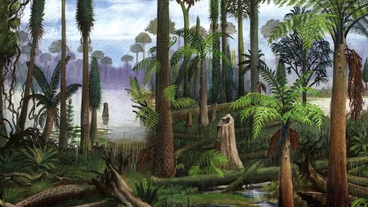 Каменноугольный период палеозойской эры