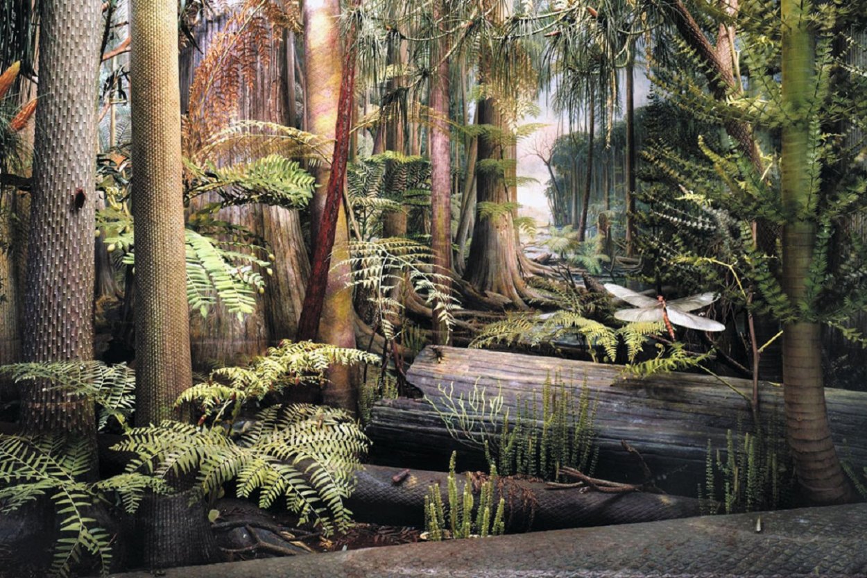 Лепидодендроны каменноугольного периода