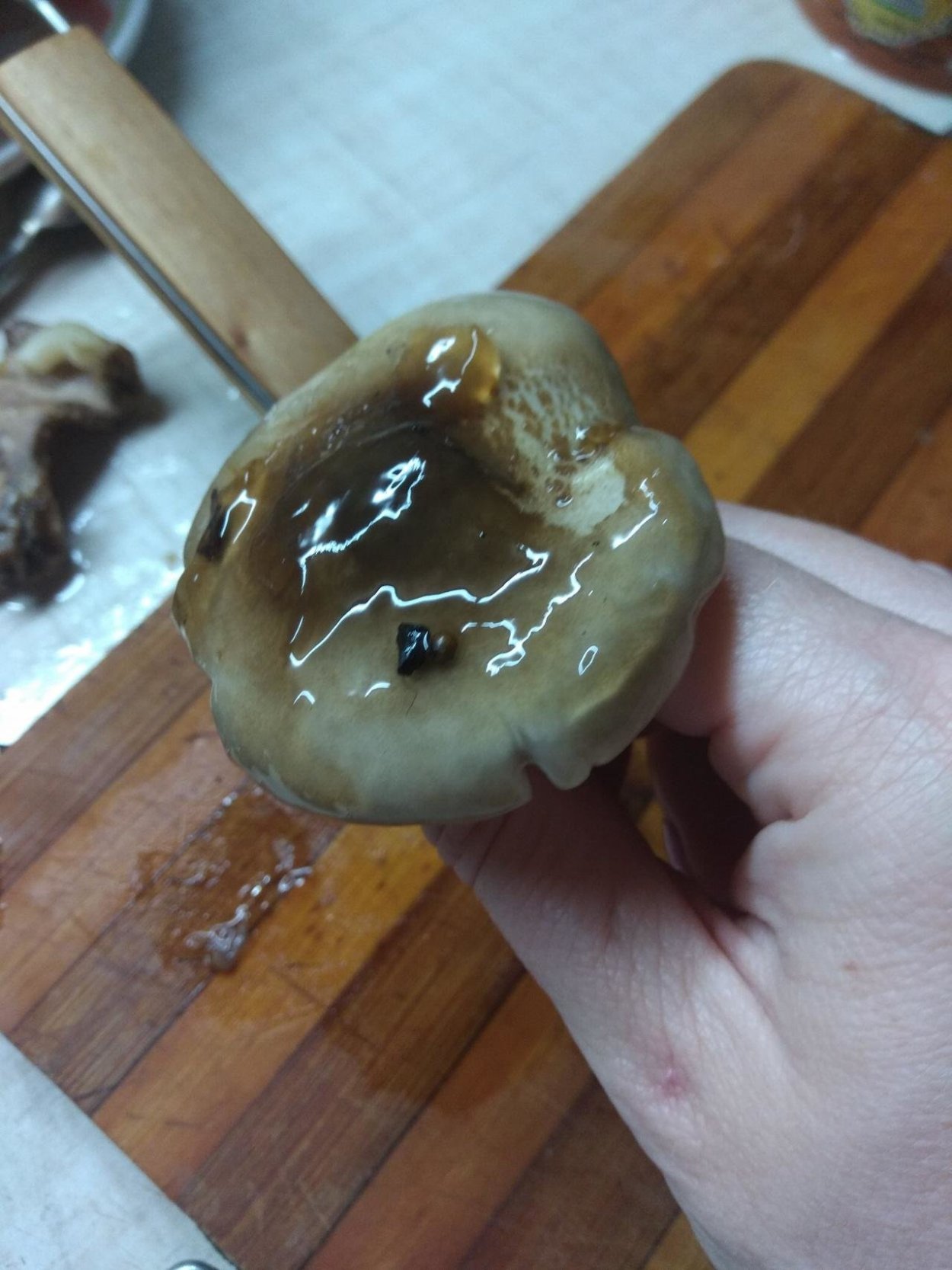 Грибы соскольской шляпкой