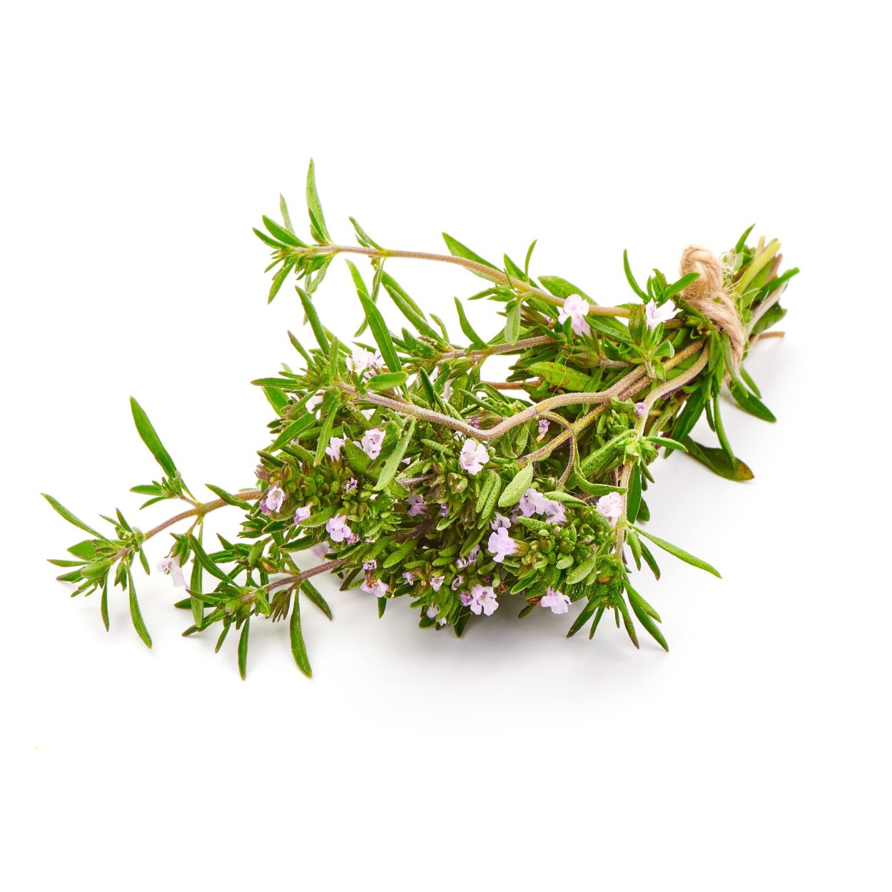 Чабрец тимьян душица орегано