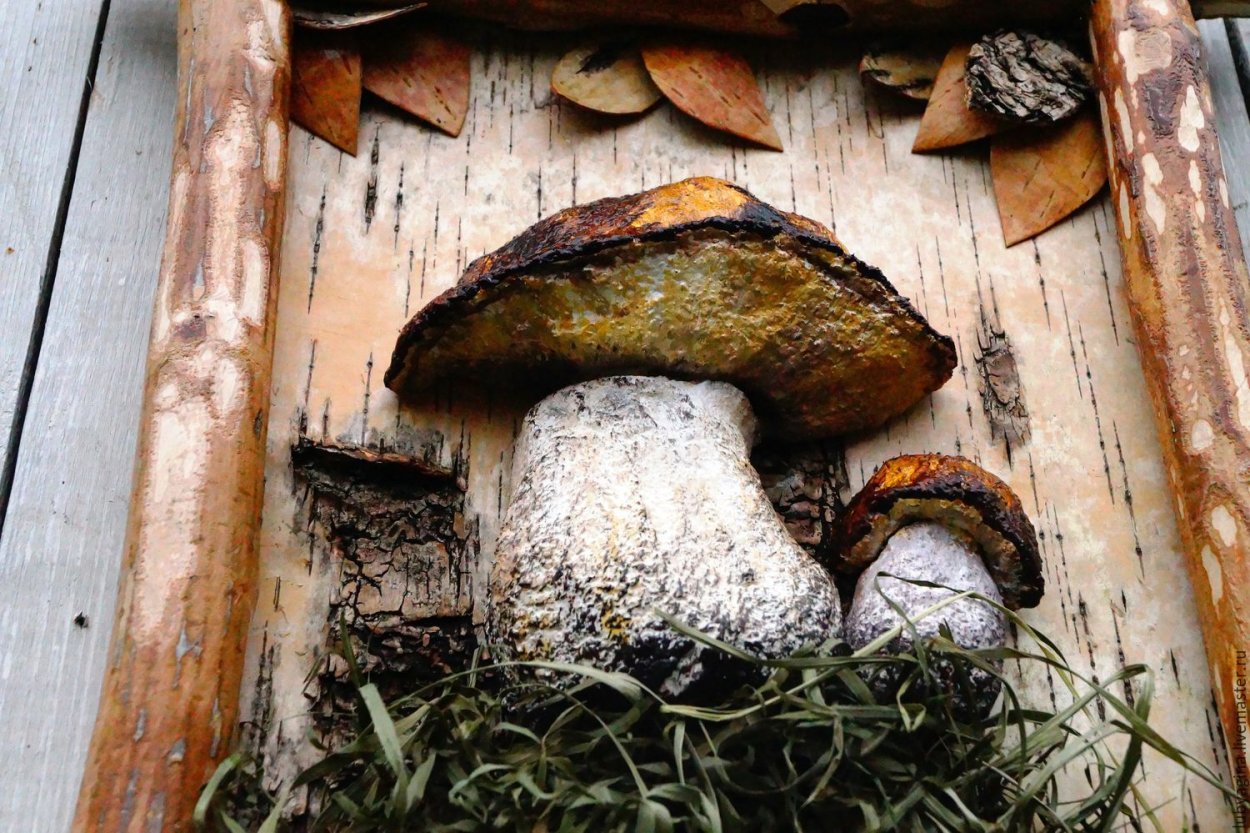 Графиоз Вязов