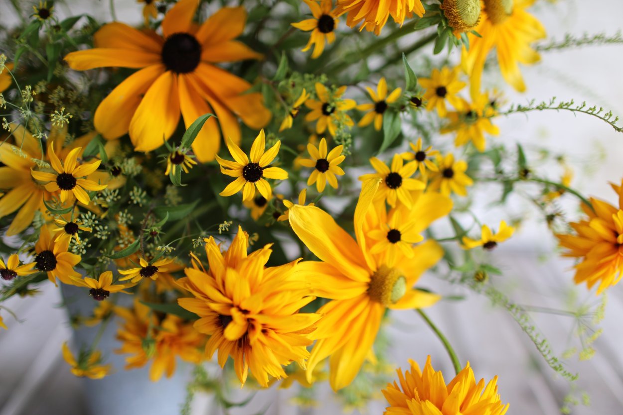 Жёлтый цветок